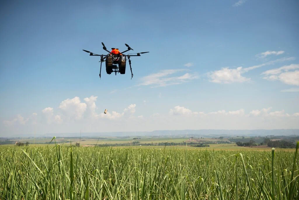 Drone liberando controle biológico de cotésia e trichogramma sobre canavial
